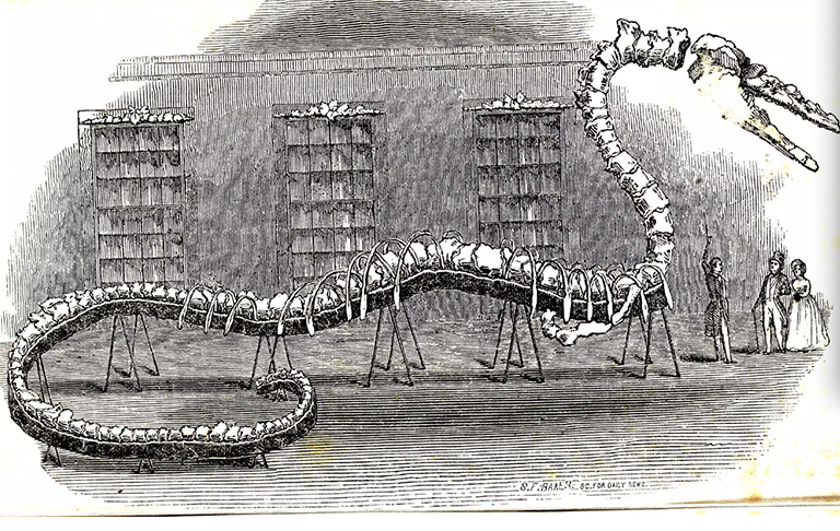 雕塑知识.jpg 雕塑知识