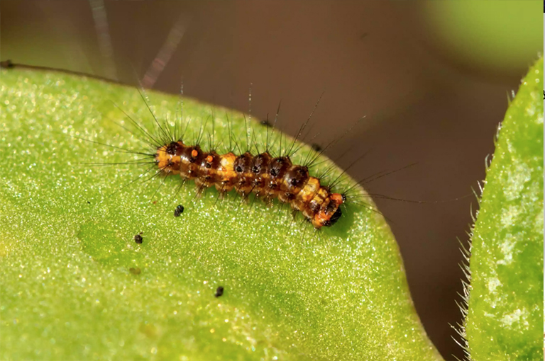 雕塑知识.jpg 雕塑知识