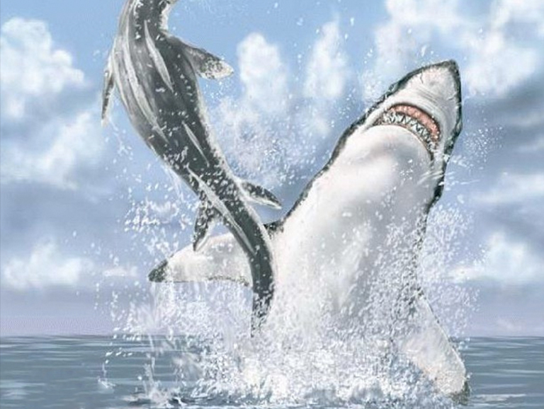 恐龙考古科普2.jpg 恐龙考古科普