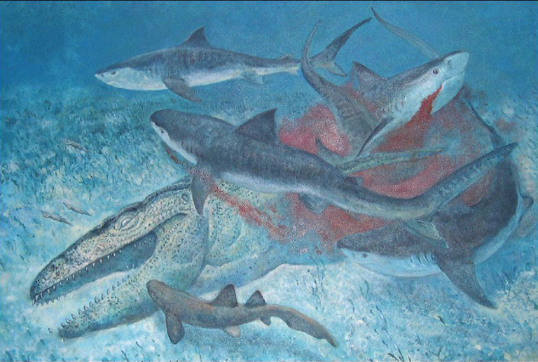 恐龙考古科普7.jpg 恐龙考古科普