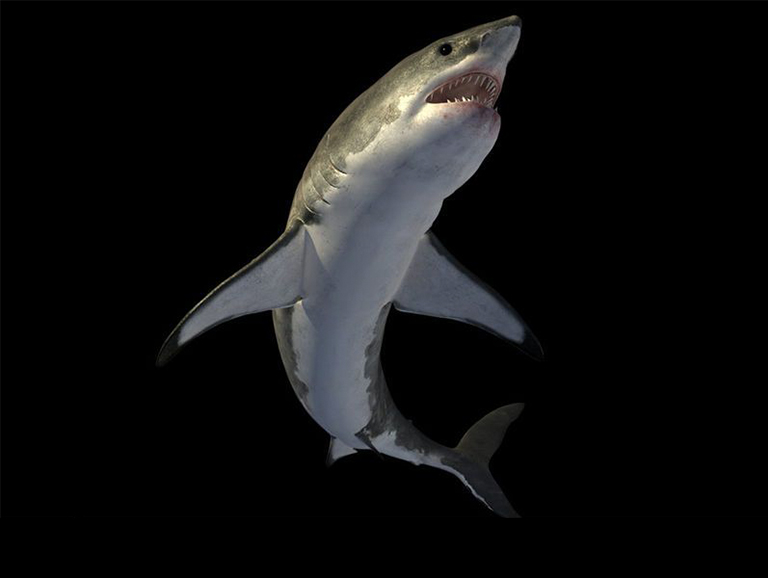 恐龙考古科普.jpg 恐龙考古科普