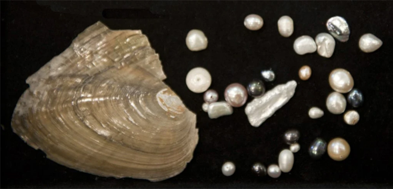 儿童淘宝石淘矿小镇科普