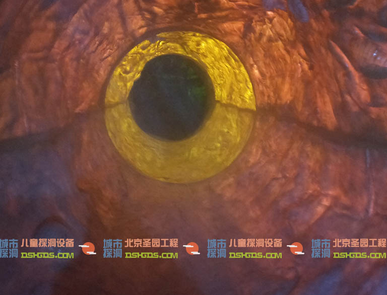 城市探洞.jpg 城市探洞