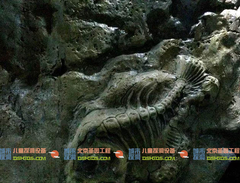 城市探洞.jpg 城市探洞