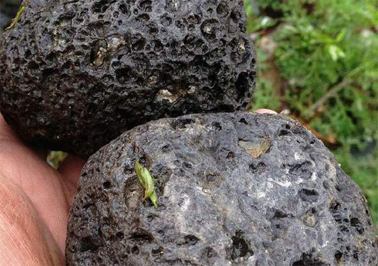 火成岩.jpg 火成岩