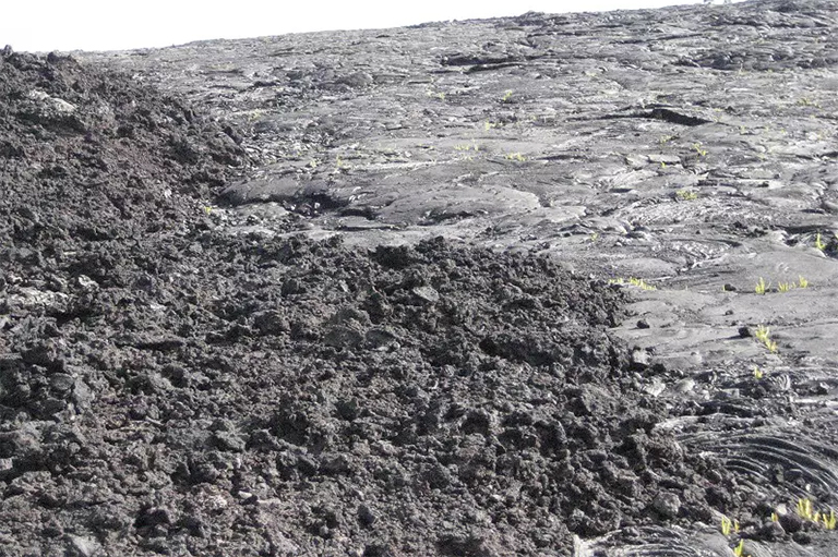 一种配方,两种结果.jpg 一种配方,两种结果