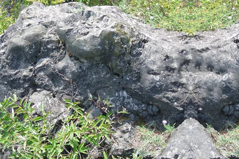 奥陶纪或现代,总是一样的.jpg 奥陶纪或现代,总是一样的