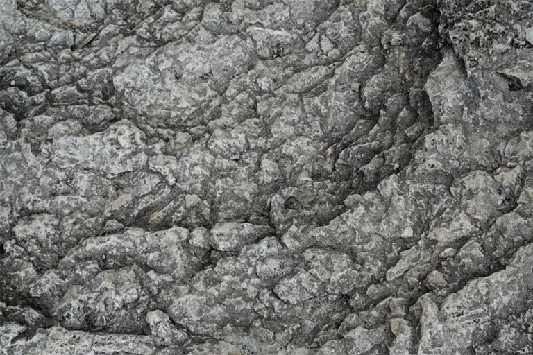 1606454441944493.jpg 1.jpg