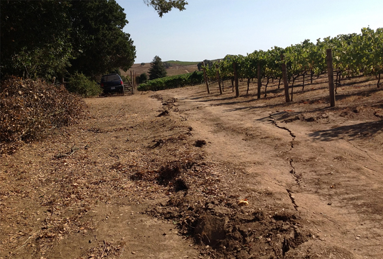 加利福尼亚葡萄园的压力脊.jpg 加利福尼亚葡萄园的压力脊