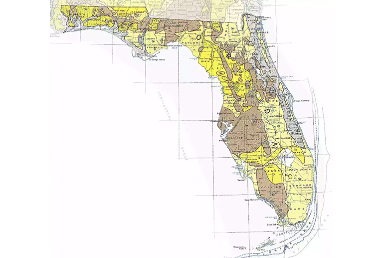 佛罗里达地质图