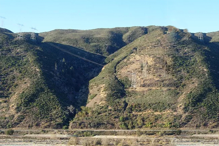 加利福尼亚古尔奇