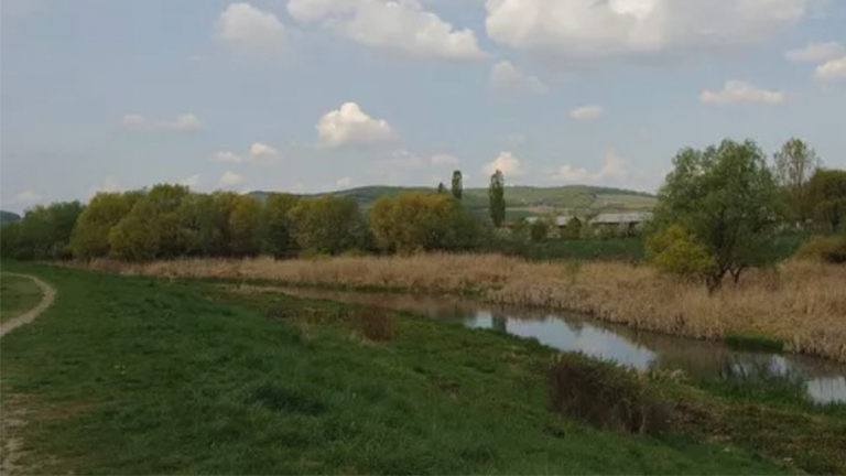 沿河的天然护堤